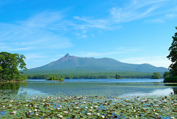 北海道観光で花めぐり 6月7月8月 に見頃を迎える花畑マップ10選 くるたび