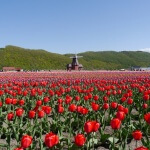 春に行きたい！北海道おすすめドライブコース